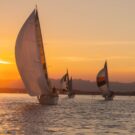 Sightsee51228325937 Avatar